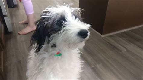 Moral Relativism 的图像结果