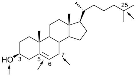 Innovative Non-Enzymatic Electrochemical Quantification of Cholesterol