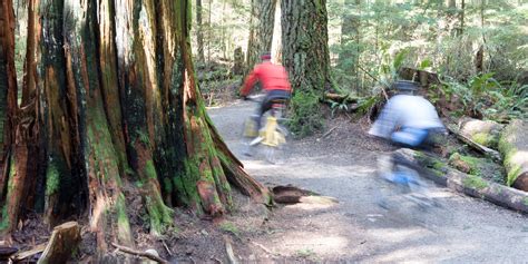 Image result for UBC Graduate Programs