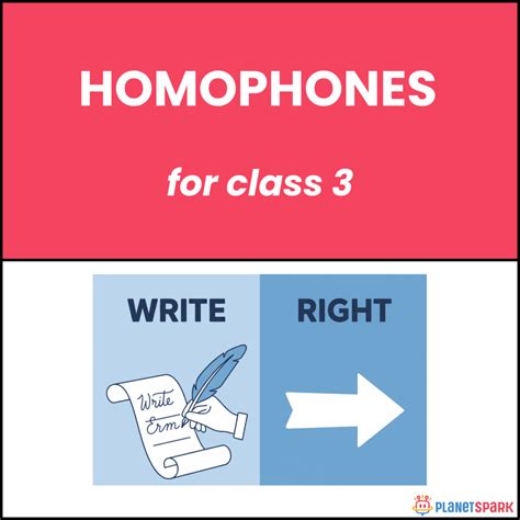 Class 3 English Worksheet on Helping Verbs – Was and Were for Past ...