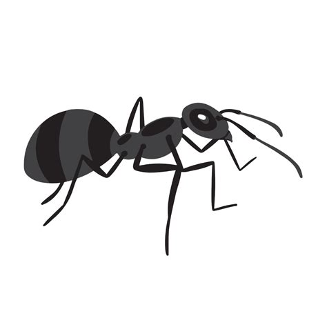 Free Ant Vector Clipart (PNG, SVG) to Edit Online