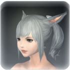 Dev Dreamer JavaScript 14 的图像结果