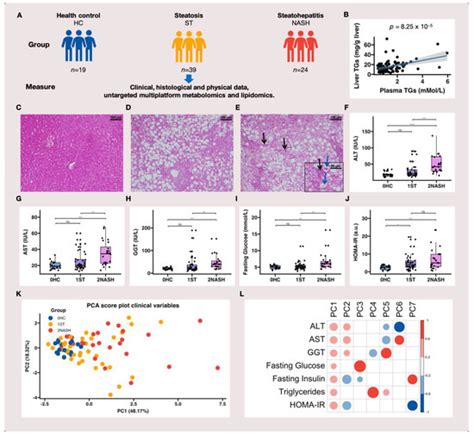 Plasma Metabolomic and Lipidomic Profiling of Metabolic Dysfunction ...