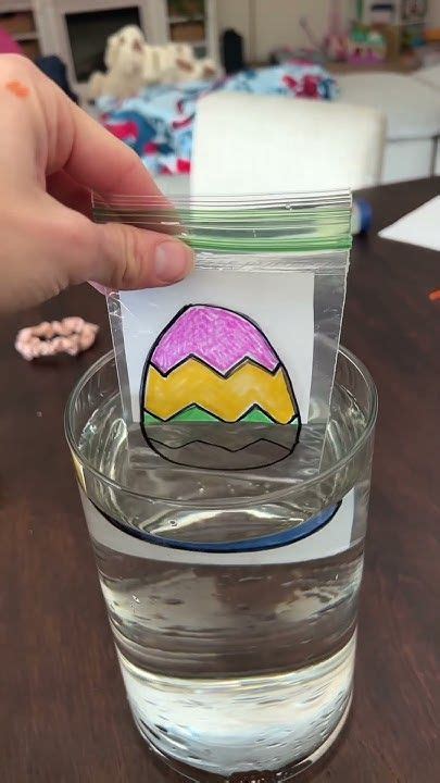 Image result for Light Refraction Experiment