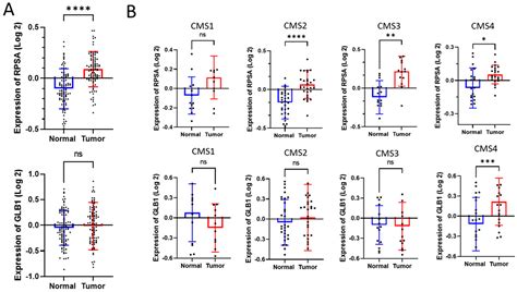 Expression of the RPSA-Containing and 67EBP Laminin Receptors in ...