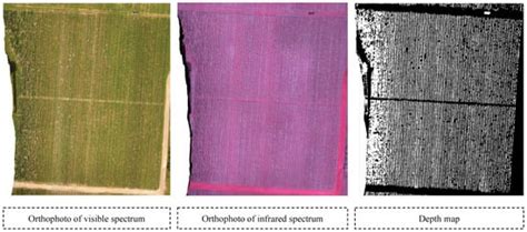 VddNet: Vine Disease Detection Network Based on Multispectral Images ...