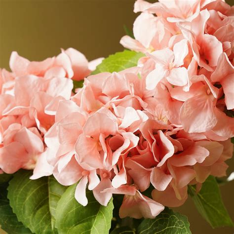 Shop Pink Hydrangea Artificial Flower Stem - Single - at Best Price ...