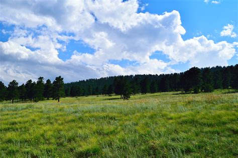 Elk Meadow Park Colorado Hike Guide - Virtual Sherpa