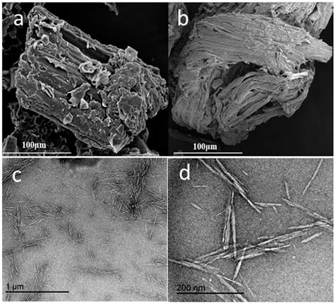 Cellulose Nanocrystals (CNCs) from Corn Stalk: Activation Energy Analysis
