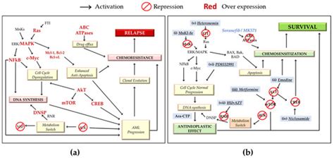 Inhibitors of Chemoresistance Pathways in Combination with Ara-C to ...