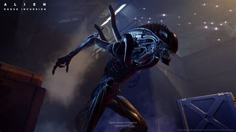 Image result for Alien vs Predator Video Game