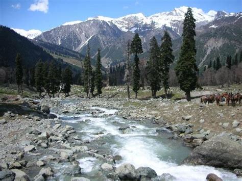 Shiva Garh, patnitop, India - Top Attractions, Things to Do ...