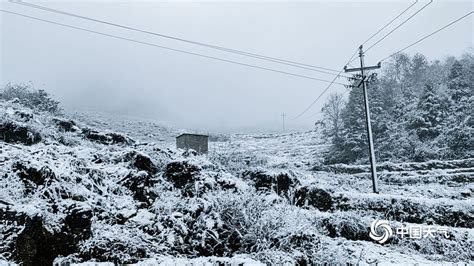 下雪啦！贵州多地今冬初雪如期而至 天地浑然一体-图片频道-中国天气网