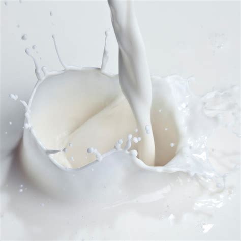 Lemon Moringa Hand Malai