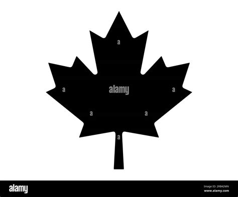 Canadian Maple Leaf Silhouette Stock Vector Image & Art - Alamy