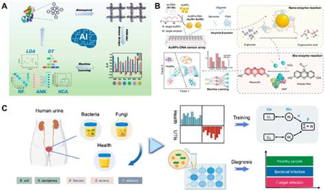 Machine-Learning-Assisted Nanozyme-Based Sensor Arrays: Construction ...