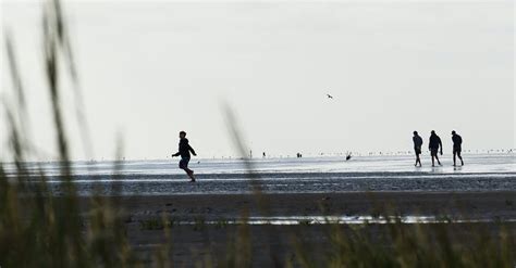 Running at the Beach 的图像结果