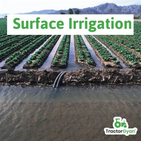 Irrigation System in Farming: Understand Sources, Methods and Importance