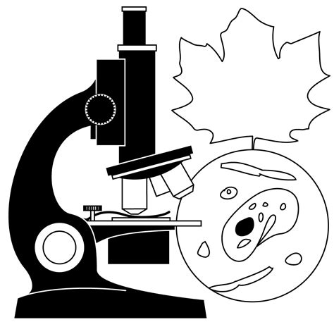 Science Clip Art 的图像结果
