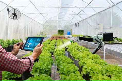 Ultimate Guide to the Best Plant Monitoring System for Smart Gardening ...