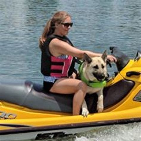 Paws 4 A Cure is an all-volunteer 501(c)(3) nonprofit organization that ...