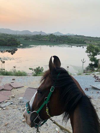 Princess Trails Farm (Udaipur) - 2019 What to Know Before You Go (with ...
