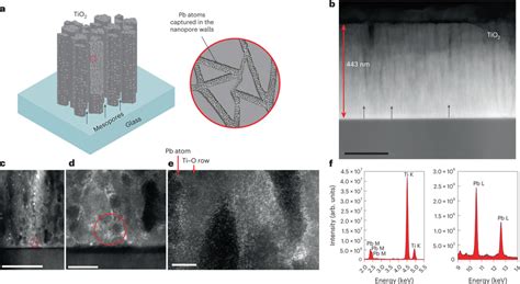 Image result for TiO2 Pfotes Sebs
