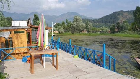 BIRD FOREST RESORT (Srinagar, Kashmir) - Specialty Inn Reviews & Photos ...