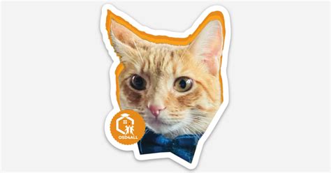 OSD4ALL Cat Sticker - Norman by Erika Lari | Die cut stickers | Sticker ...
