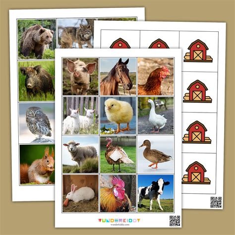 Printable Classification Sorting Mats: Domestic vs Wild Animals