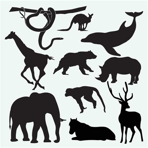Image result for Python Animals Vector