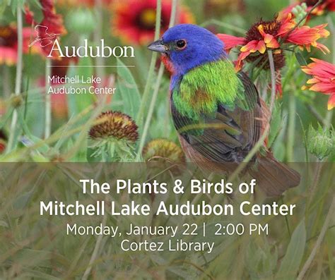 Attracting Birds and Pollinators to Your Space, Cortez Library, San ...