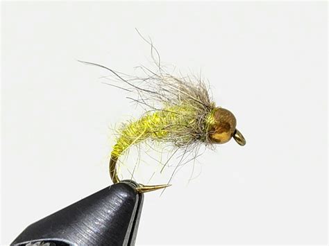 Image result for Letort Spring Run