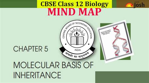 CBSE Molecular Basis of Inheritance Class 12 Mind Map for Chapter 5 of ...