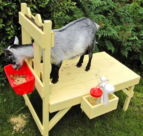 What Does Stand For Goat