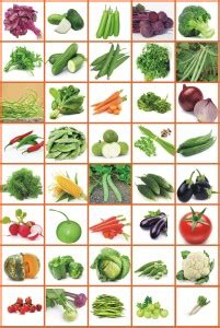 Rosemary Varieties 2250+ Organic & Hybrid Vegetables Seed Price in ...