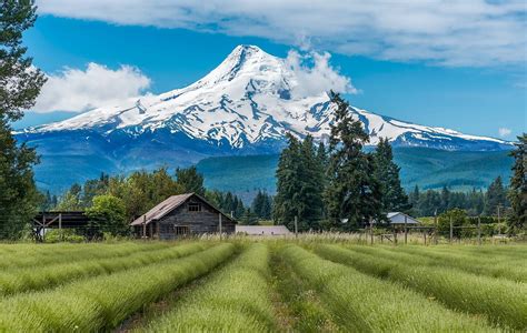 Mount Hood, Oregon