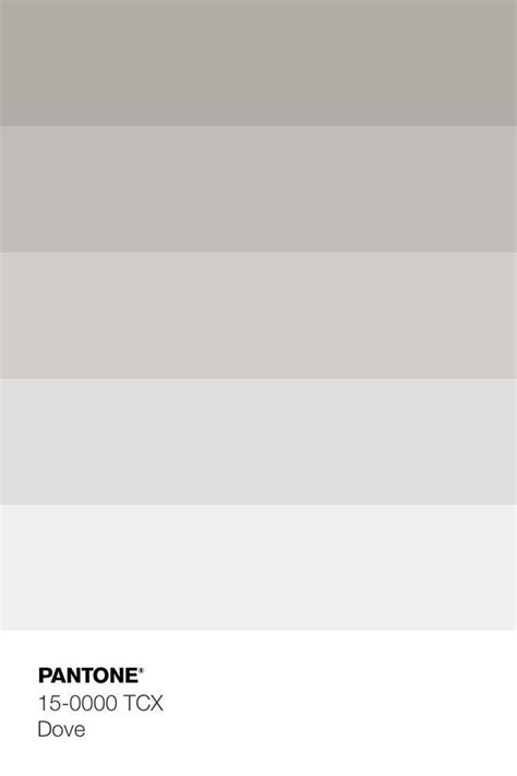 Image result for Colors in Python Program
