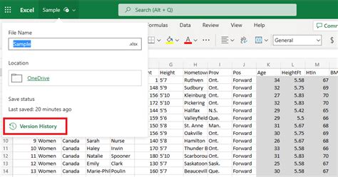 Image result for Excel Version History