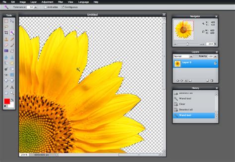 Image result for Pixlr Editor Basic