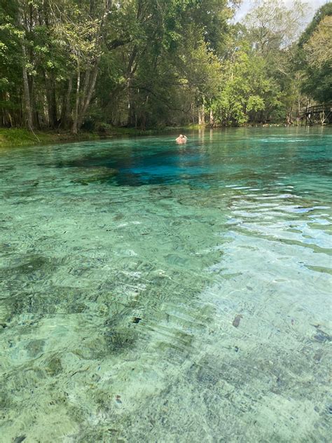 Ichetucknee River Vacation Rentals & Homes - Florida, United States ...