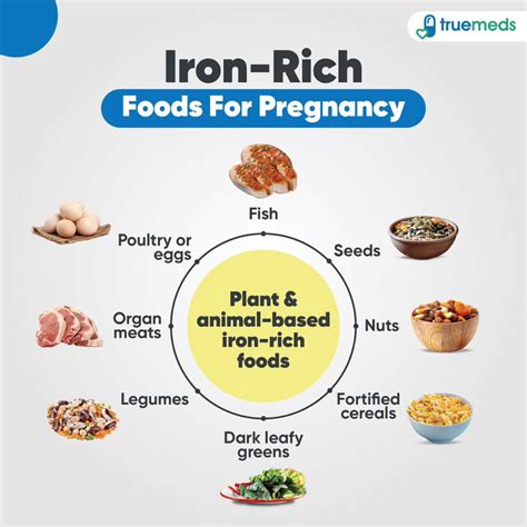 Iron Rich Foods For Pregnancy