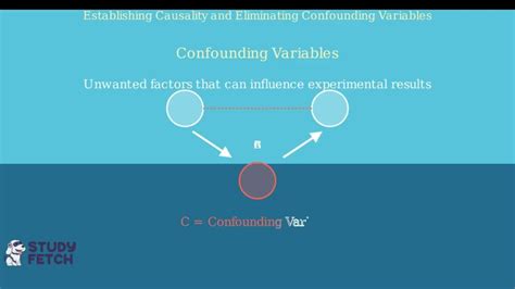 Animation DNA Replication Steps 的图像结果