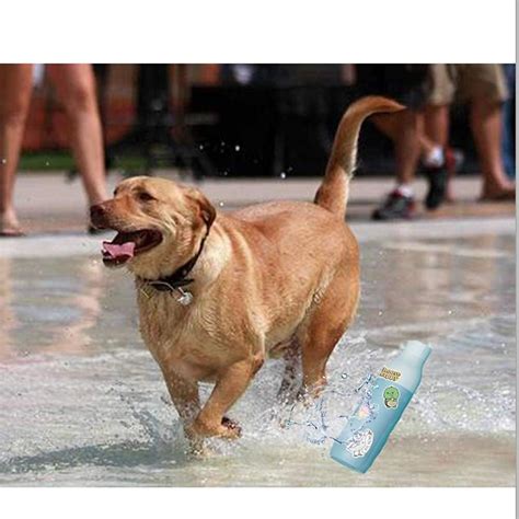 Buy Cool Brand Stickers 100 Pack Decals Laptop Computer Skateboard ...