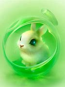 Image result for Animated Rabbit Cartoon