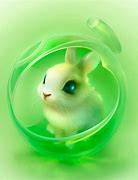 Image result for Rabbit Wall Art Cute