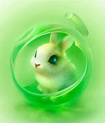 Image result for Ugly Rabbit Cartoon