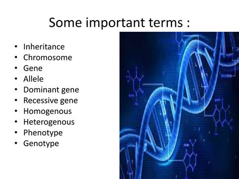 Image result for Define Inheritance