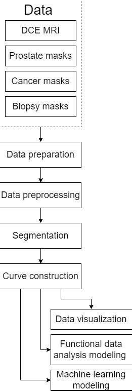 Analysis Workflow 的图像结果