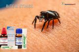 Effective Homeopathic First Aid Treatments for Insect Bites and Stings ...